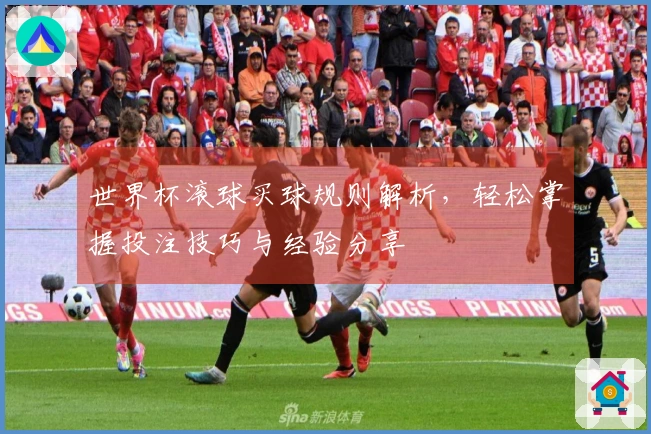 世界杯滚球买球规则解析，轻松掌握投注技巧与经验分享