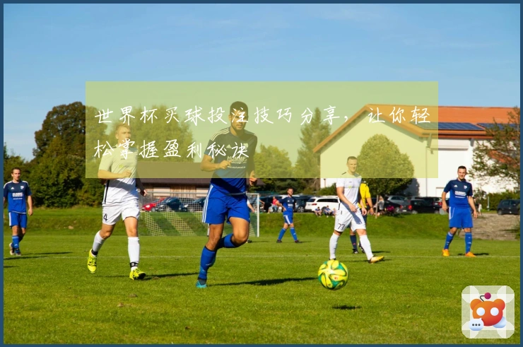 世界杯买球投注技巧分享，让你轻松掌握盈利秘诀