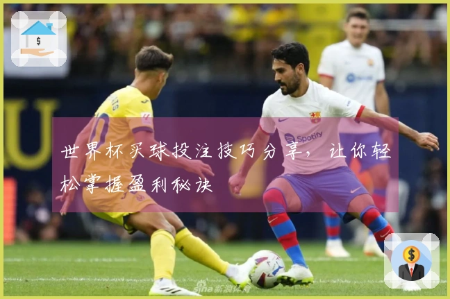 世界杯买球投注技巧分享，让你轻松掌握盈利秘诀