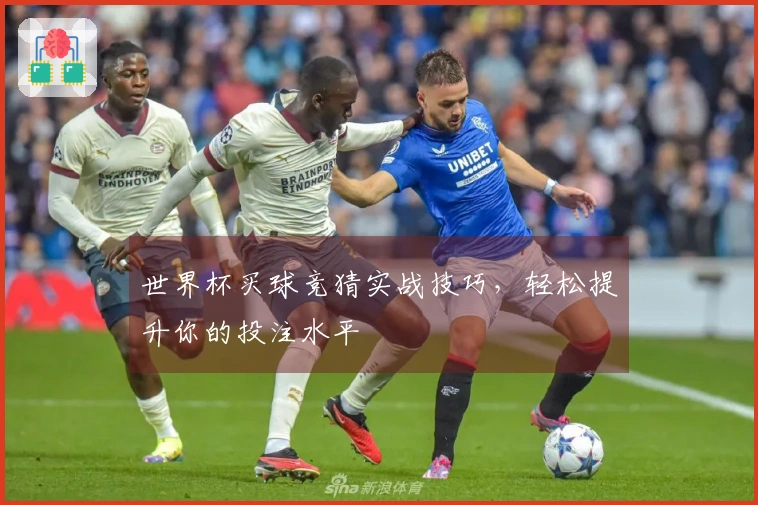 世界杯买球竞猜实战技巧，轻松提升你的投注水平
