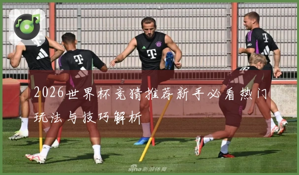 2026世界杯竞猜推荐新手必看热门玩法与技巧解析