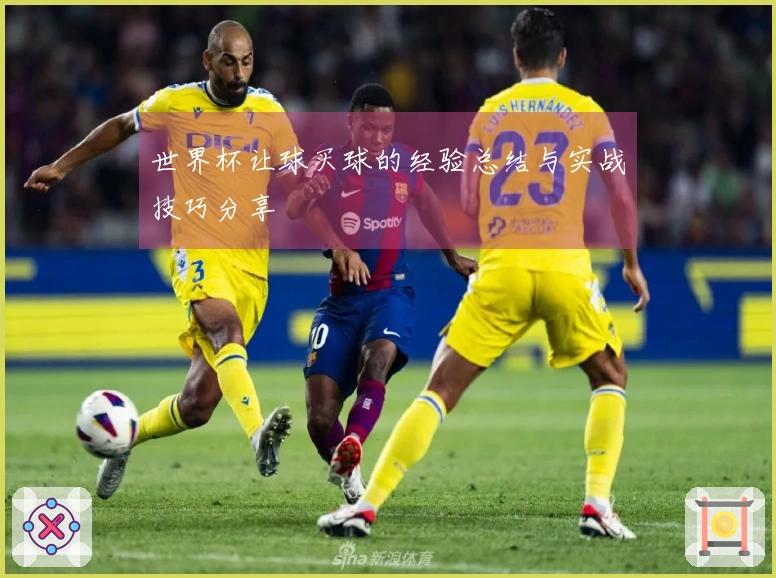 世界杯让球买球的经验总结与实战技巧分享