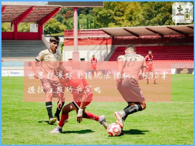 世界杯滚球竞猜玩法揭秘，轻松掌握投注技巧和策略