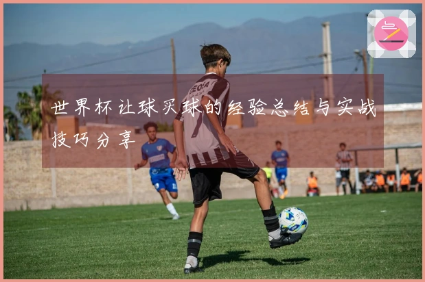 世界杯让球买球的经验总结与实战技巧分享